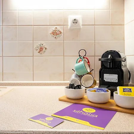 Sitholia Apartamento Vatopédhion